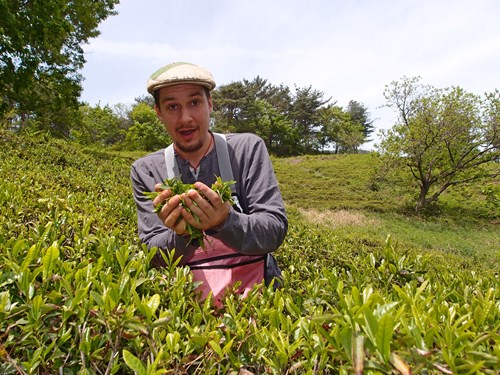 Při svých cestách zakusil Kopkáš mnohá povolání, vydělával si například sběrem čaje na korejské farmě. Foto: archiv Jana Kopkáše