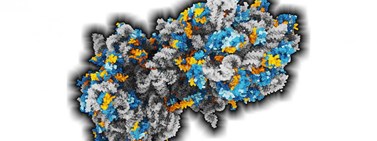 CAVER helps with computer-assisted drug development