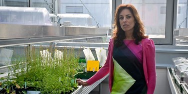 Argentinská vědkyně zkoumá v Ceitecu odolnost rostlin vůči stresu