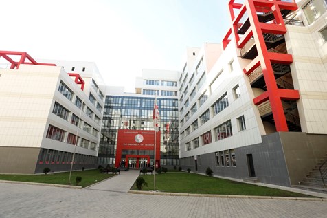 格鲁吉亚大学