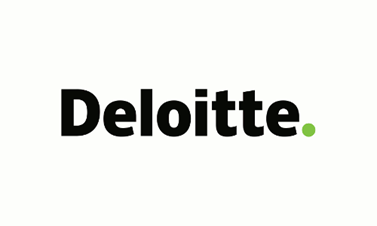 Webové stránky partnera Deloitte