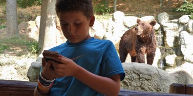 Zoo Visitor App