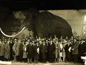 Zlatý mamut: Cena Karla Absolona za popularizaci archeologie