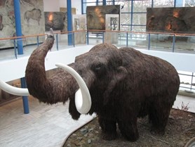 Cena Zlatý mamut -&#160;mimořádné sloučení ročníků