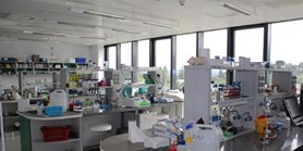 Laboratoř bioinženýrství mikroorganizmů
