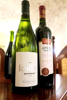 Vítězná vína Ryzlink vlašský (Kolby) a Cabernet Sauvignon Merlot 1516 (Vinum Moravicum)