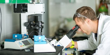 Loschmidt laboratories of Protein Engineering
