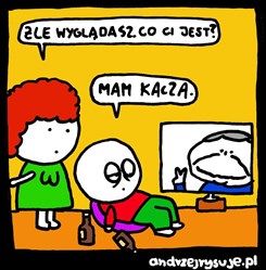 „Vypadáš nemocně, co je ti?“ „Mám Kacza.“ (Kac je polský výraz pro kocovinu, Kacz je zkratka pro Jarosława Kaczyńského, pozn. red.). Autor: Andrzej Milewski (www.andrzejrysuje.pl).