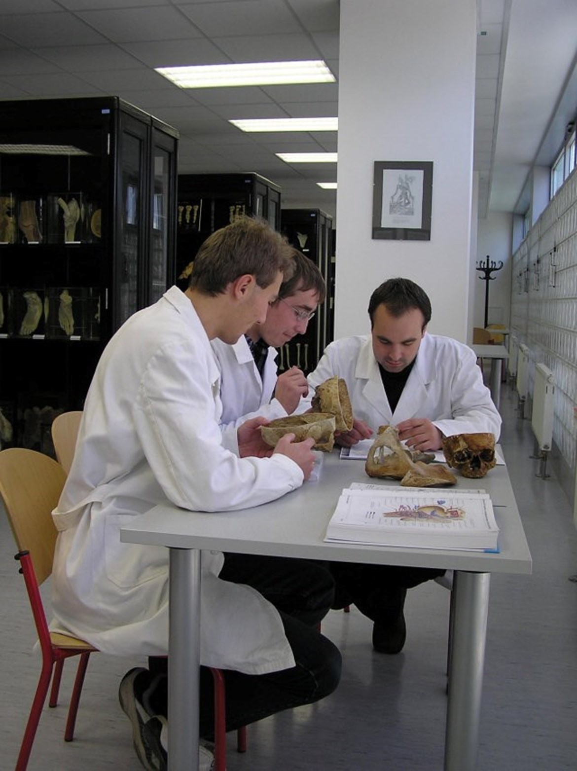 Preparáty v Anatomickém muzeu profesora Karla Žlábka slouží k výuce studentů medicíny