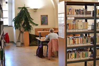Prázdná místa v knihovně jsou ve zkouškových obdobích spíše raritou. Foto: Václav Havlíček