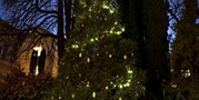 Nová tradice: rozsvěcování vánočního stromu na Kotlářské