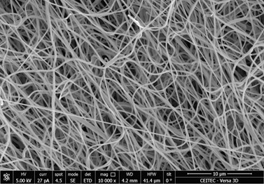 Obr. 2. Detail filtrační vrstvy z nanovláken (snímek z elektronového mikroskopu). Foto: Archív Ústavu chemie a Ústavu fyzikální elektroniky PřF MU.