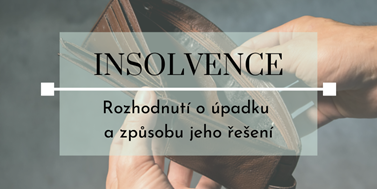 Seriál o&#160;insolvencích: Rozhodnutí o&#160;úpadku a&#160;způsobu jeho řešení