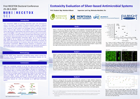 Ecotoxicity Evaluation of Silver-based Antimicrobial Systems