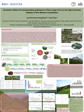 Genotoxic effects of transboundary pollutants in Pinus mugo Turra in the high mountain habitats of the Western Carpathians