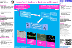 Image-based Analysis In Toxicological Research