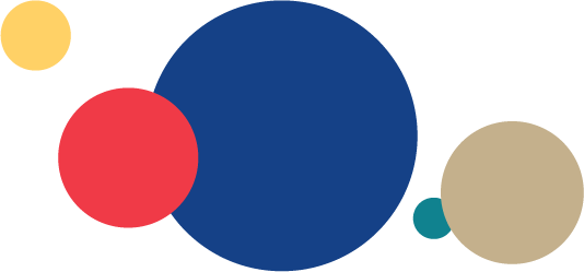 Czech Childhood Cancer Information System