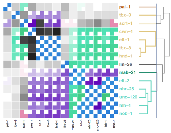 Fig: The Glyph SPLOM method is an advanced approach for studying complex network data based on the adaptation of a heatmap matrix; taken from Yates (2014).