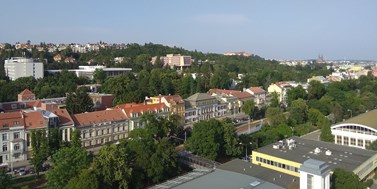 Studium v Brně