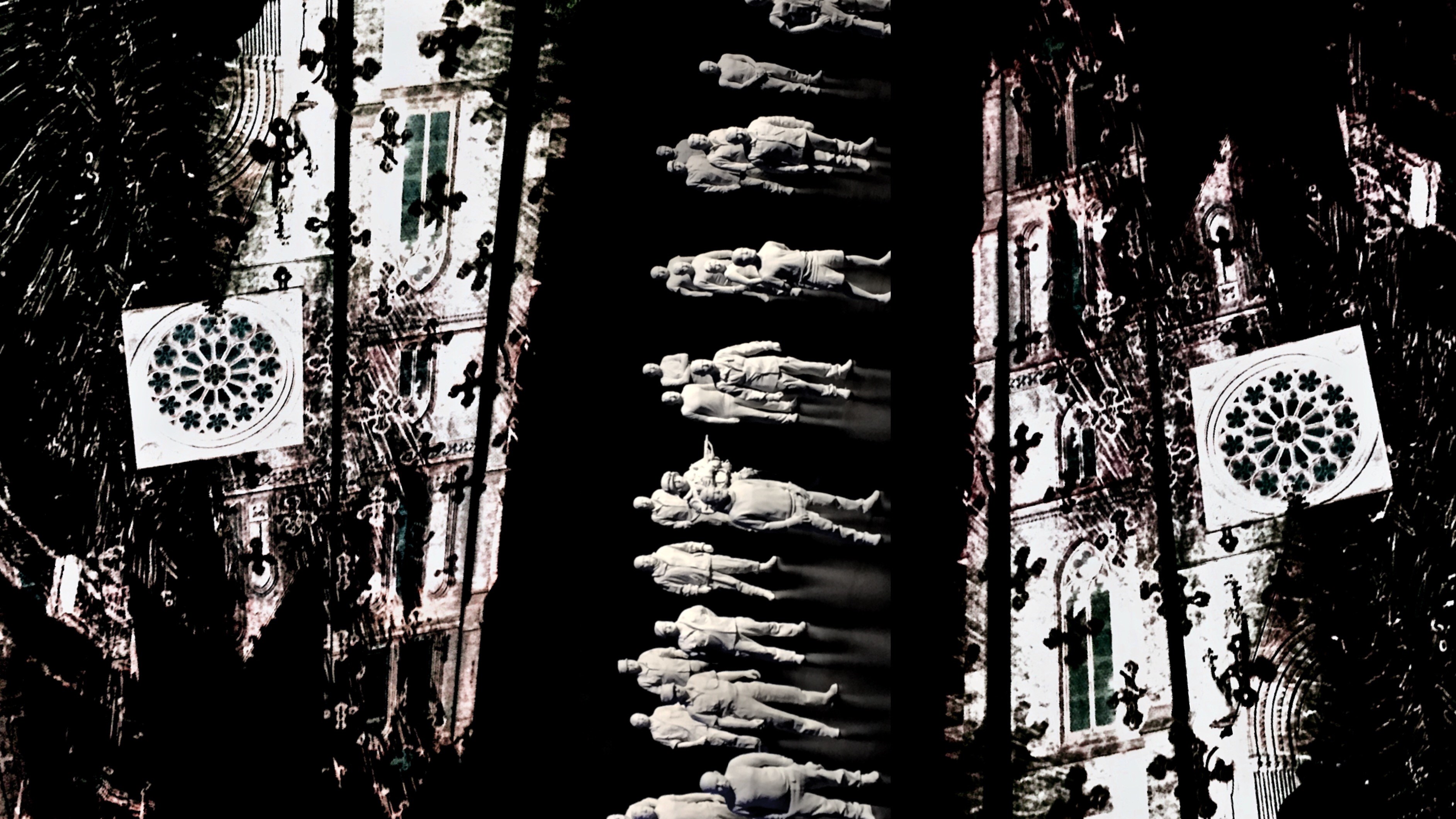 Příručka bakalářského programu TIM