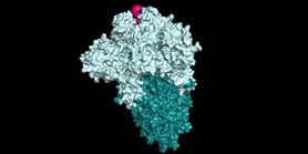 Přírodovědci a&#160;informatici testovali známé léky na nový koronavirus