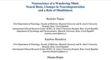 https://www.researchgate.net/publication/331312746_Neuroscience_of_a_Wandering_Mind_Neural_Basis_Changes_in_Neurodegeneration_and_a_Role_of_Mindfulness