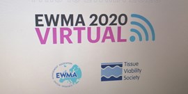 Zpráva z&#160;virtuální mezinárodní konference EWMA 2020