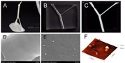 Thrombus Imaging Using 3D Printed Middle Cerebral Artery Model and Preclinical Imaging Techniques: Application to Thrombus Targeting and Thrombolytic Studies