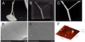 Thrombus Imaging Using 3D Printed Middle Cerebral Artery Model and Preclinical Imaging Techniques: Application to Thrombus Targeting and Thrombolytic Studies