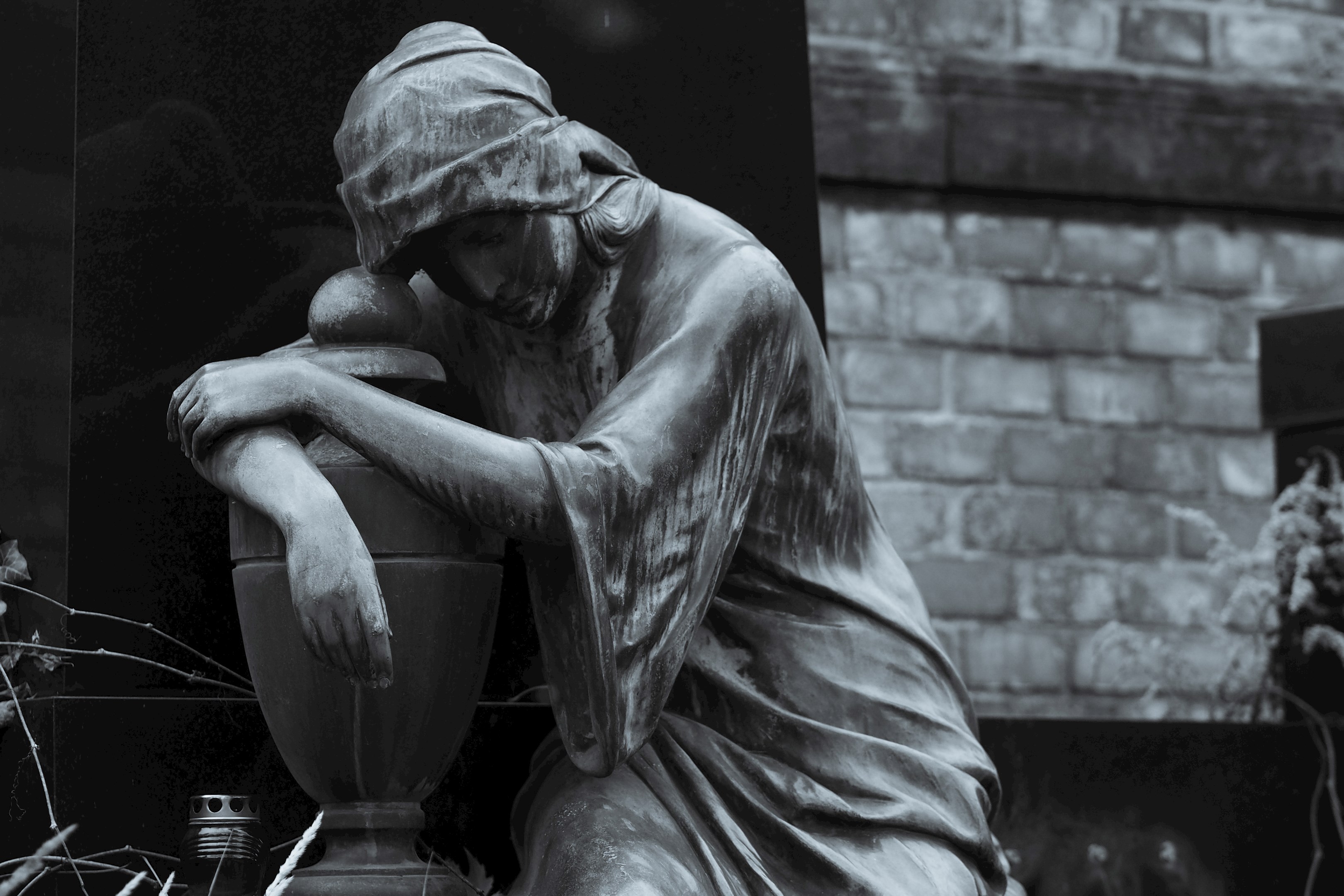 Spolek mediků LF MU ve spolupráci s Lékařskou fakultou MU vybuduje Památník za dárce těl