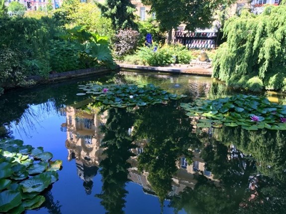 A reflection in the botanical garden