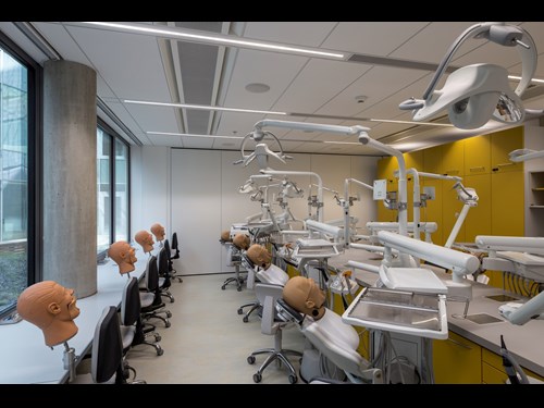 Simulační centrum Lékařské fakulty MU: prostory pro výuku Zubního lékařství