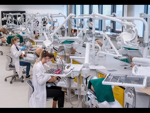 Simulační centrum Lékařské fakulty MU: prostory pro výuku Zubního lékařství