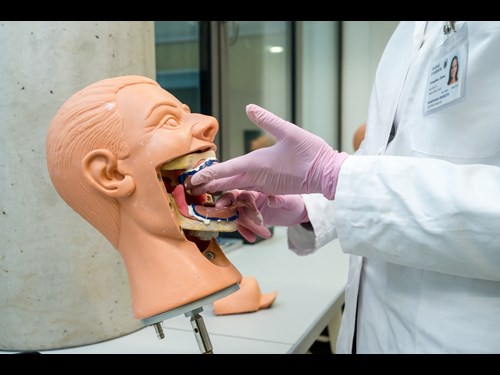 Simulační centrum Lékařské fakulty MU: výuka Zubního lékařství