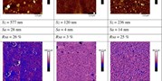Conducting composite films based on chitosan or sodium hyaluronate. Properties and cytocompatibility with human induced pluripotent stem cells