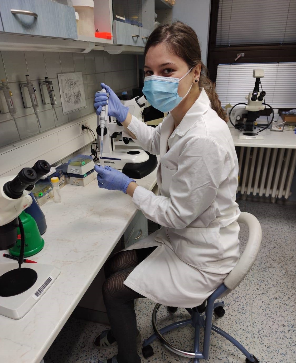 Mgr. Daniela Kristeková bude zkoumat komplexní odpověď organismu po expozici nanočásticemi těžkých kovů