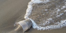 Mořské řase přepíší DNA, aby požírala plasty