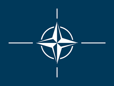 Hlavním cílem modelového zasedání NATO je poskytnout studentům příležitost zlepšit si své měkké dovednosti a získat představu o diplomacii a jednáních uvnitř aliance. Foto: Pixabay