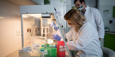 Rychlejší než PCR a&#160;přesnější než antigenní. Brněnští vědci vyvinuli LAMP test a&#160;jednají s&#160;výrobci