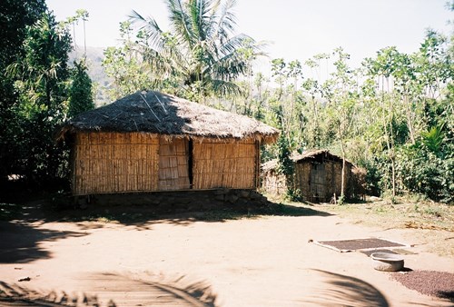 Chýše jako součást expozice života původních kmenů. Kumily, Kérala (Jana Valtrová, 2006)