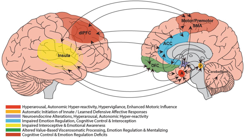 Are Functional (Psychogenic Nonepileptic) Seizures the Sole Expression ...