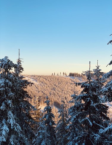 Views from Horský resort Dolní Morava