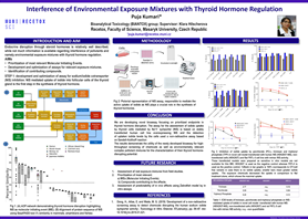 Kumari Interference Of Environmental Exposure Mixtures With Thyroid Hormone Regulation (1)