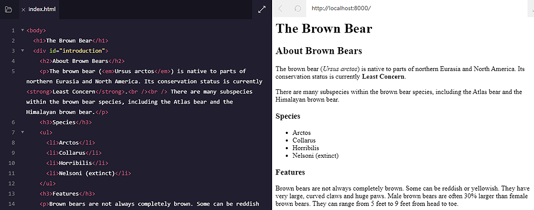 Ukázka HTML kódu webové stránky