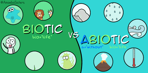 Abiotic and biotic stresses