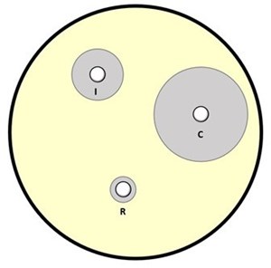 Disková difuzní metoda - nákres. Po inkubaci se  změří průměry inhibičních zón kolem disků.  Na základě toho jsou výsledky zařazeny do kategorie citlivý (C), intermediárně rezistentní (I) nebo rezistentní (R) k určité antimikrobiální látce.