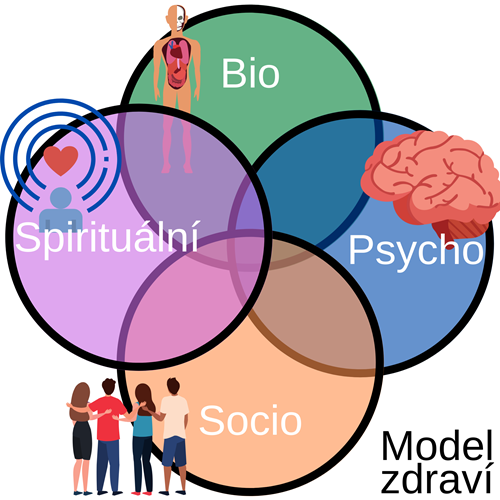 Bio-psycho-socio-spirituální model v kontextu chápání zdraví vychází z původního bio-psycho-sociálního modelu Dr. G. L. Engela, později byla do modelu zařazena i spirituální rovina. Všechny faktory ovlivňující člověka se vzájemně prolínají a působí na sebe. Negativně i pozitivně, proto je potřeba nahlížet na sebe a na ostatní, ale i na prostředí, ve kterém žijeme, jako na vzájemně propojený organismus.