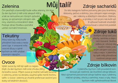 Doporučení pro stravování formou talíře a dělení na kategorie potravin dle obsahu jednotlivých živin.