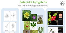 Botanická fotogalerie