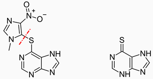 Chemická struktura azathioprinu (vlevo) a 6-merkaptopurinu (vpravo)